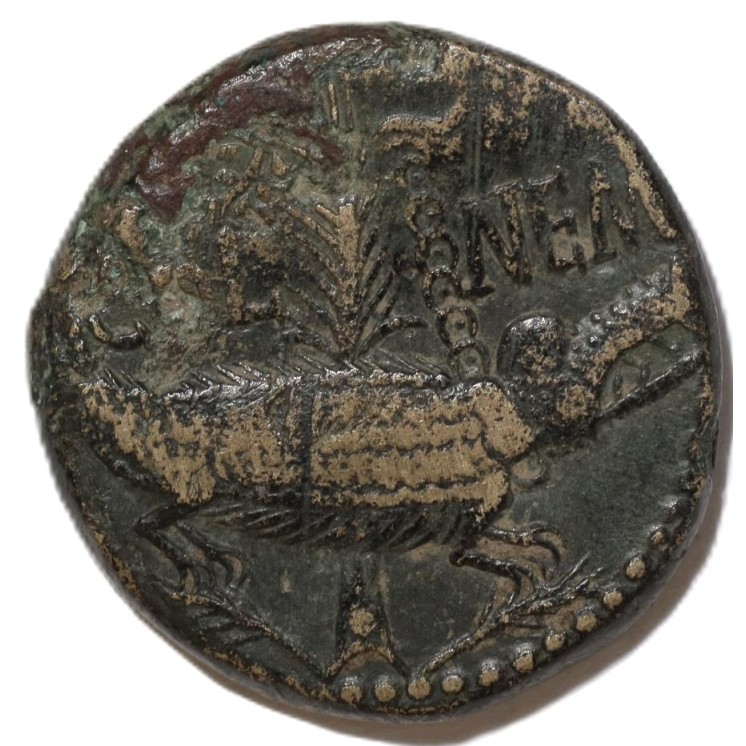 Empire Romain - Auguste et Agrippa (27 Av. J.C-63 Ap. J.C), As de Nîmes