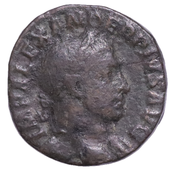 Rome - Alexandre Sévère (222-235), Sesetrce