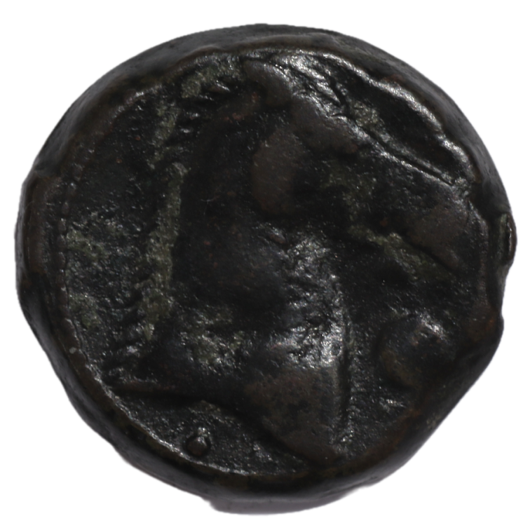 Carthage - Zeugitane (300-264 avant J.C.), Shekel