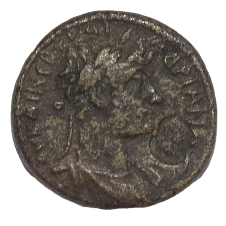 Mysie - Pergame sous Hadrien, Bronze AE 24