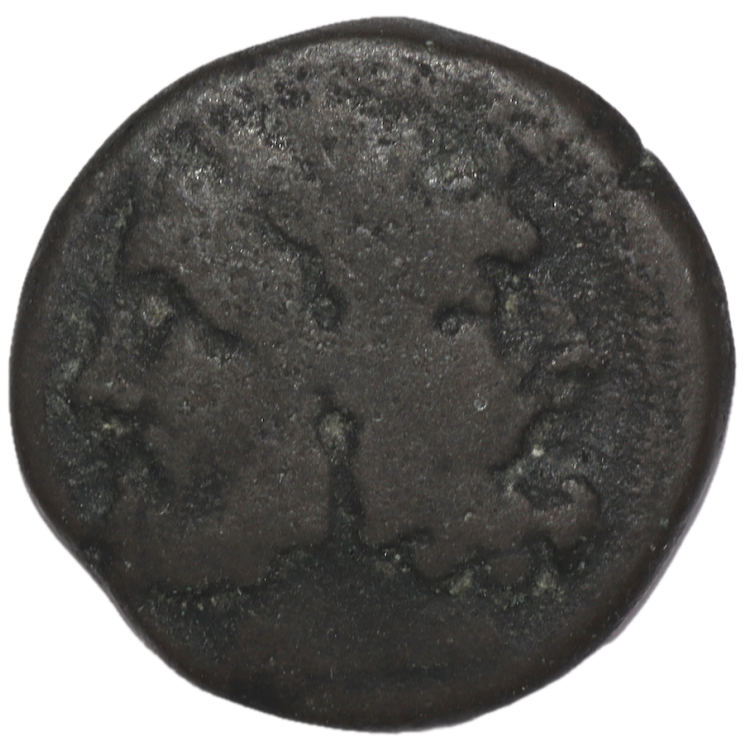 Sicile - Panorme (IIIe siècle avant J.C.), Bronze AE22