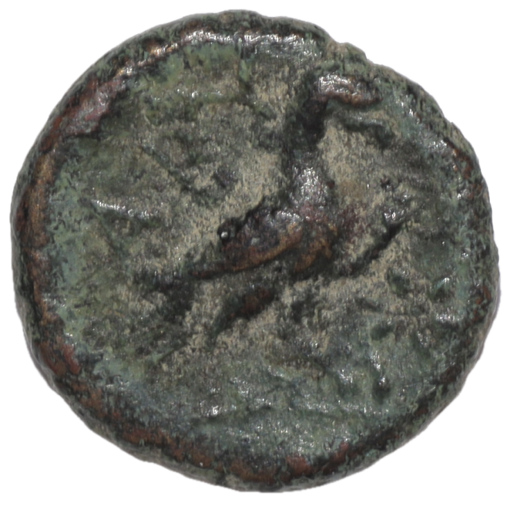 Troade - Abydos (IIIe-IIe siècle avant J.C.), Bronze AE12