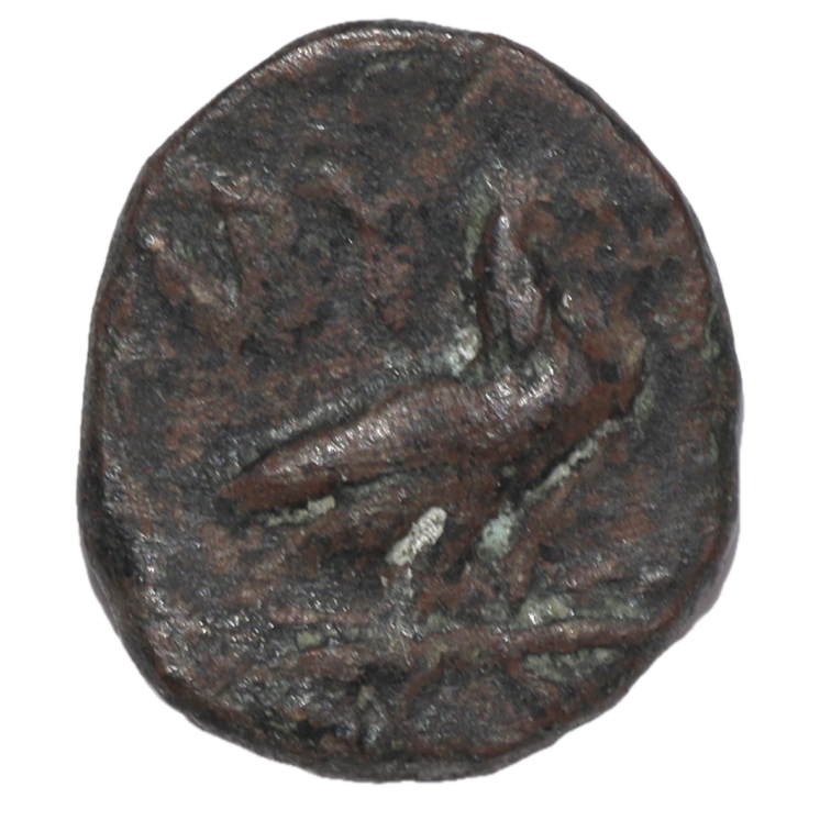 Troade - Abydos (IIIe-IIe siècle avant J.C.), Bronze AE12