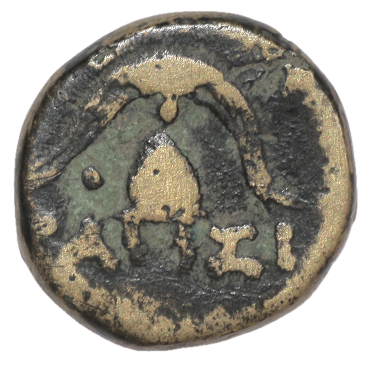 Royaume d'Epire - Pyrrhus (295-272 avant J.C.), AE15