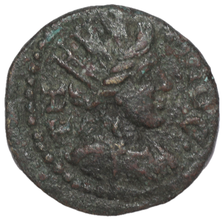Aeolide - Temnus (IIIe siècle après J.C.), Bronze AE19