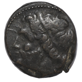 Sicile - Syracuse, Hieron II (275-215 avant J.C.), Bronze