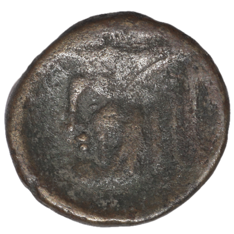 Acarnanie - Ligue Acarnanienne (196-167 avant J.C.), Bronze AE20
