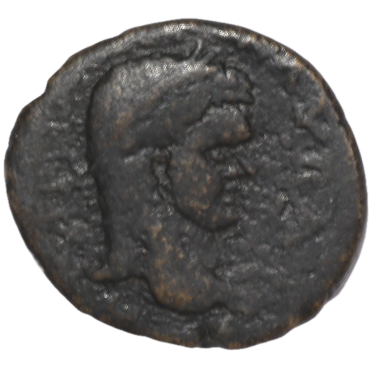 Mésopotamie - Carrhae, Caracalla (211-217), Bronze