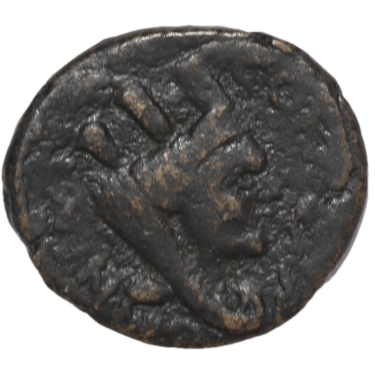 Mésopotamie - Carrhae, Caracalla (211-217), Bronze