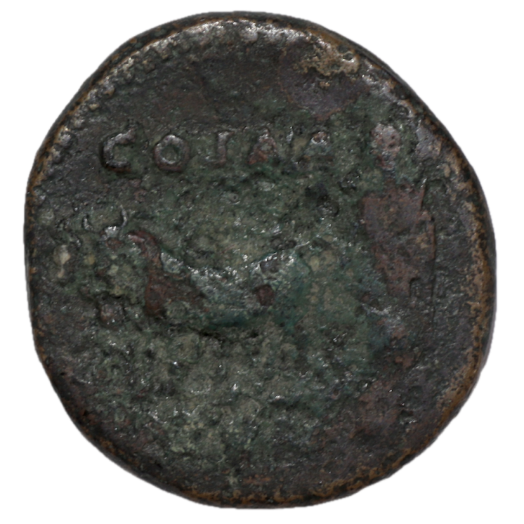 Achaïe - Paras, Domitien (81-96 après J.C.), Bronze AE24