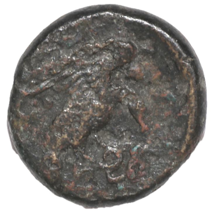 Bruttium - Crotone (Ive siècle avant J.C.), Bronze AE18