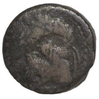 Numidie- Massinissa (202-148 avant J.C.), Bronze AE26