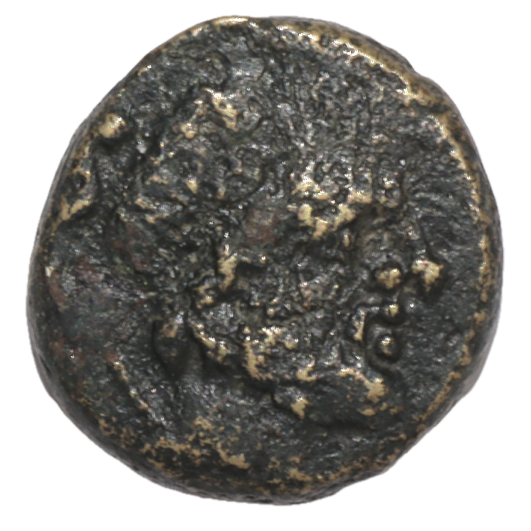 Lucanie - Paestum (IIIe siècle avant J.C.), Bronze AE15