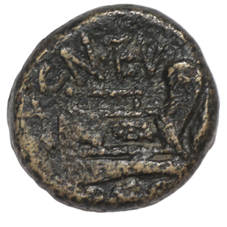 Lucanie - Paestum (IIIe siècle avant J.C.), Bronze AE15