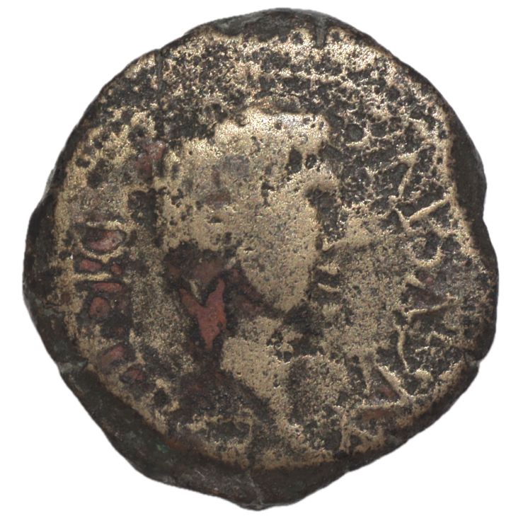 Mauritanie - Ptolémée (23-40 après J.C.), Bronze AE20