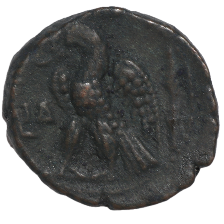 Rome - Salonine (254-268 après J.C.), Tetradrachme égyptien