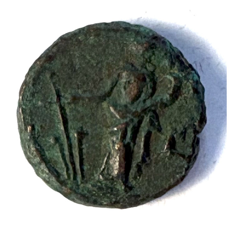 Tetradrachme Bronze, Carin